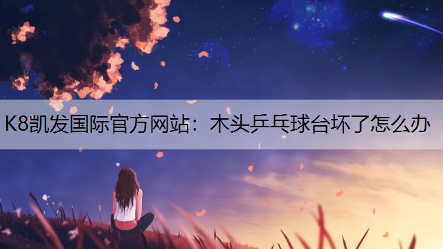 木头乒乓球台坏了怎么办